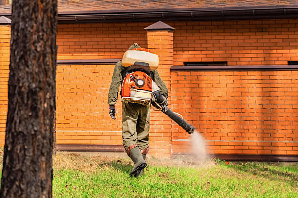 Trusted Emergency Pest Control service in Tremonton, UT - Nex Pest Control